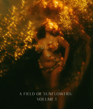 A Field of Sunflowers: Volume 1