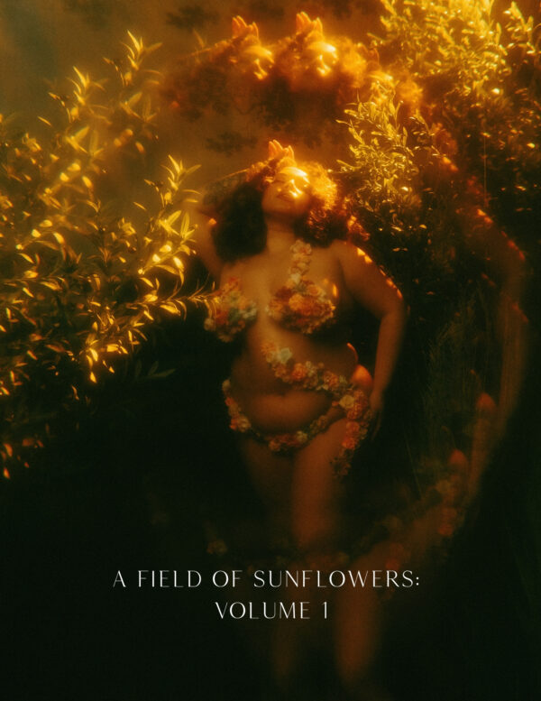 A Field of Sunflowers: Volume 1